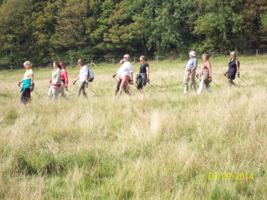 a photo of Nordic walking