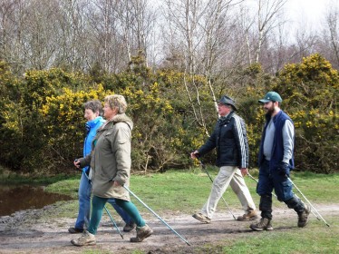 Nordic walking on the Ashdown Forest