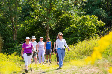 Nordic walking in Stanmer Park - August 2018